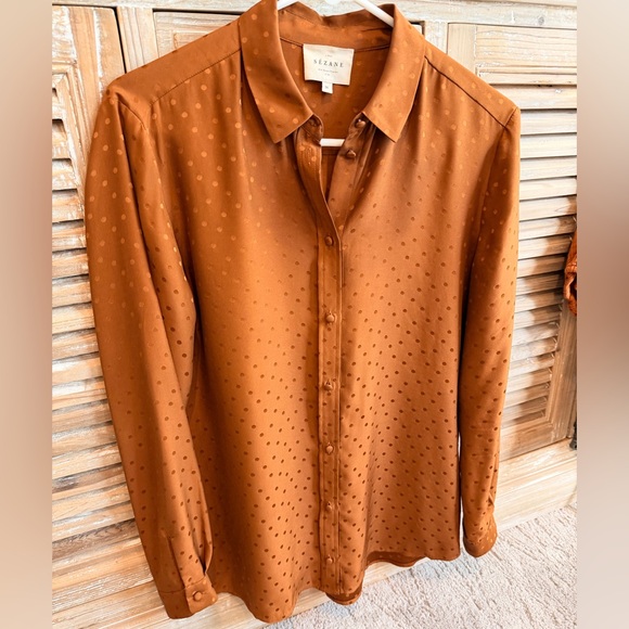 Sèzane 100% Silk Hazelnut Jacquard Ann Shirt (Size FR 36 | US 4) - Picture 3 of 12